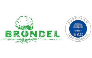 bomen-vlaanderen-brondel